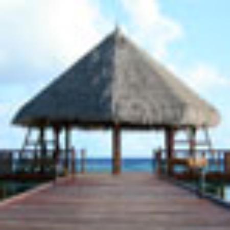 Peppi's Incorporated